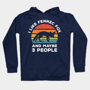 I Like Fennec Fox and Maybe 3 People, Retro Vintage Sunset with Style Old Grainy Grunge Texture Hoodie